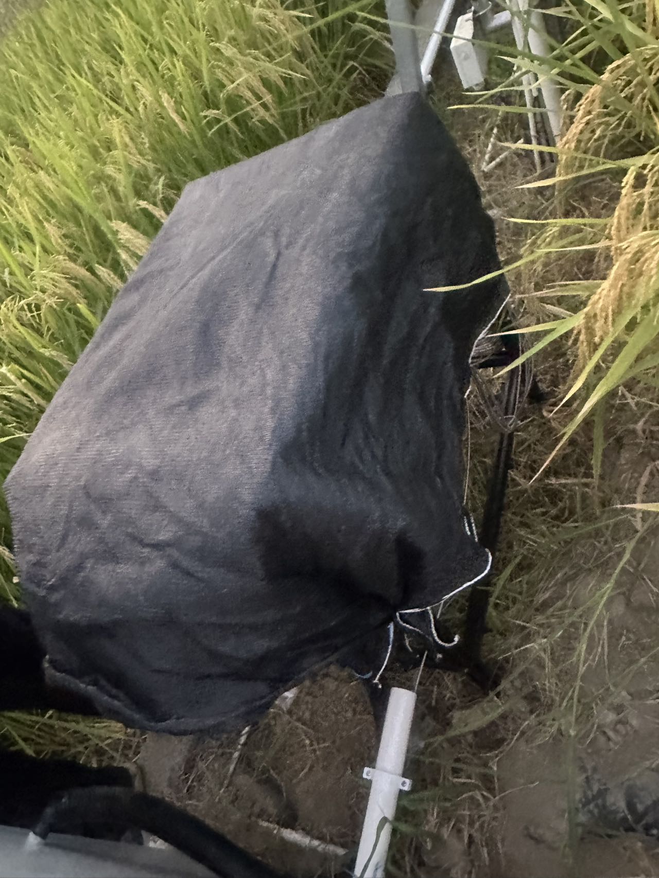 完成武汉大学安装